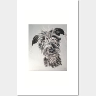 Scruffy Lurcher Posters and Art